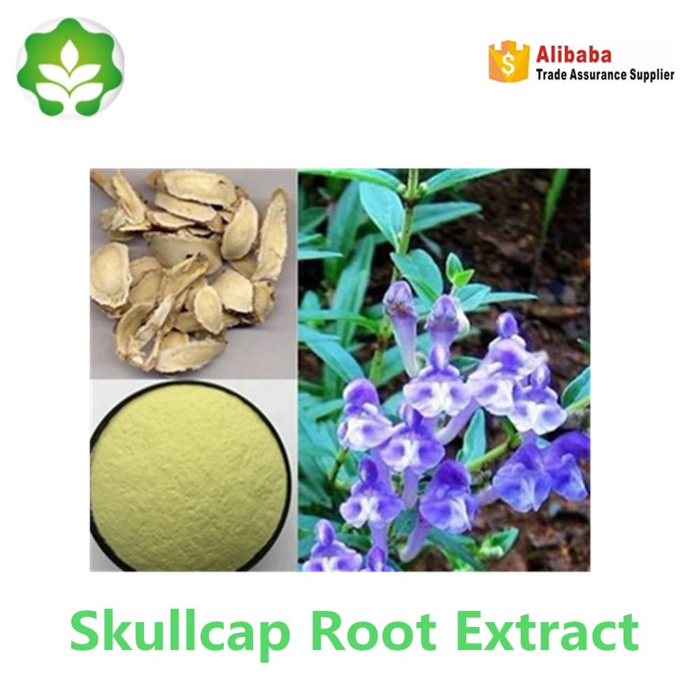Baical skullcap root extract used for skin care